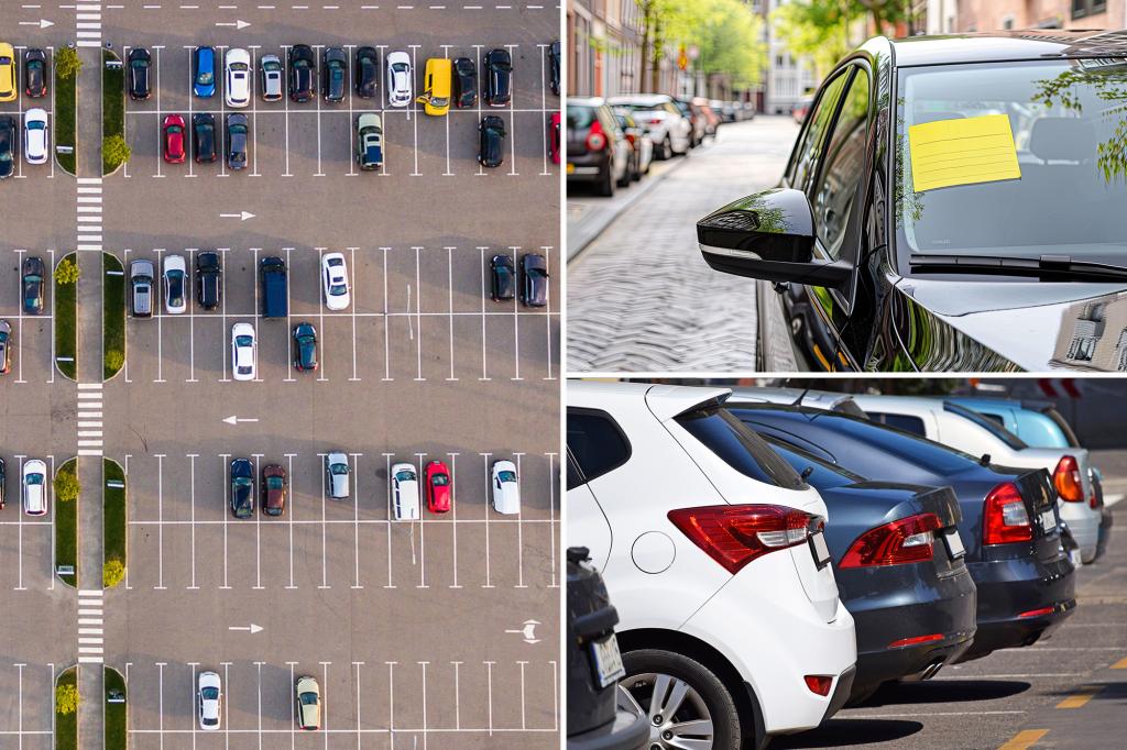 Internet debate erupts over parking rules: 'Petty deserves small'